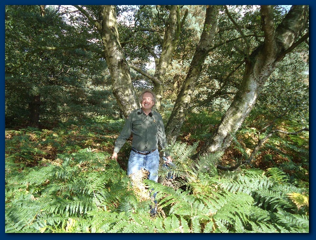 600x449 pixels (231K)